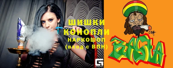 дурь Пестово