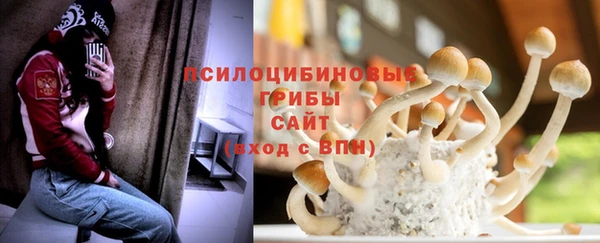 дурь Пестово