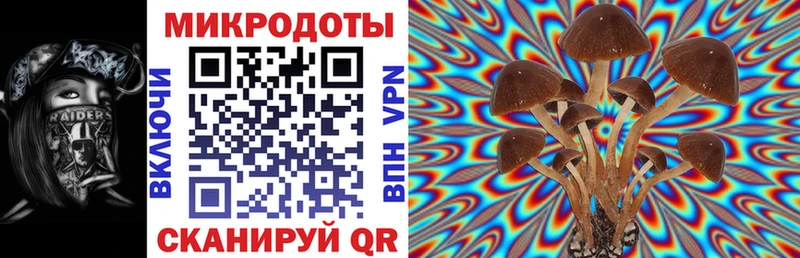 Псилоцибиновые грибы Magic Shrooms  блэк спрут ссылка  Разумное  магазин продажи  